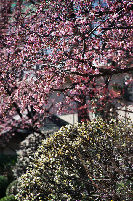 a0263109_11321640.jpg