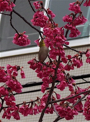 a0164011_20294270.jpg