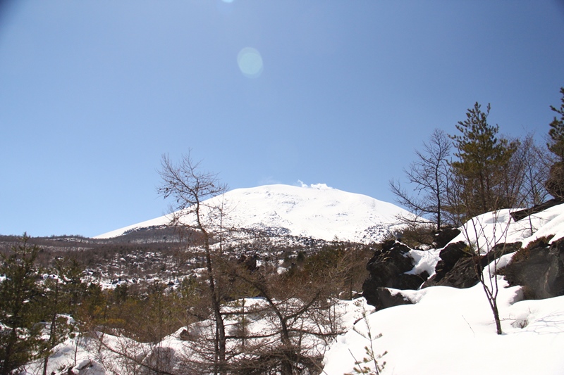 b0207615_22271577.jpg