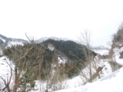 d0170615_2115140.jpg