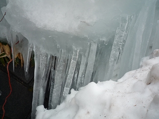 c0189218_6552192.jpg
