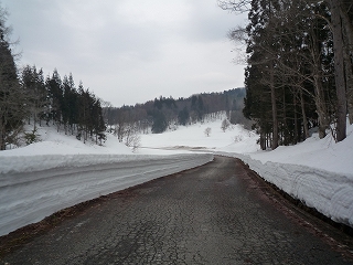 c0189218_6562630.jpg