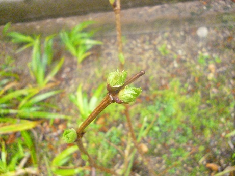 f0228619_1234461.jpg