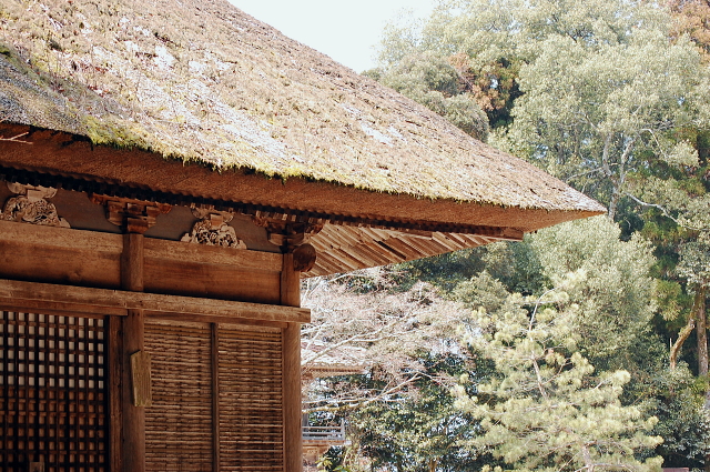 f0248120_186195.jpg