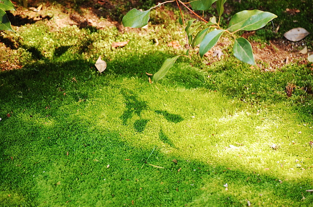 f0248120_1862482.jpg
