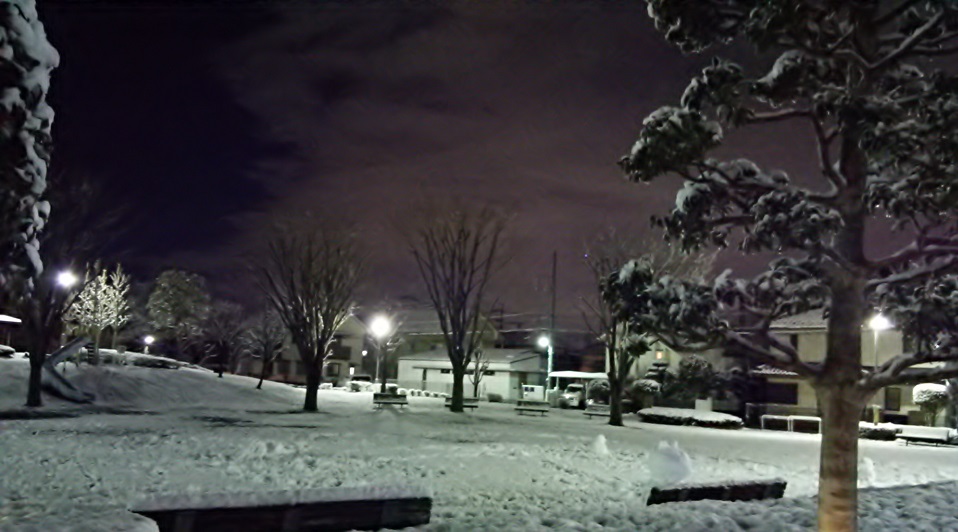b0199924_16495791.jpg