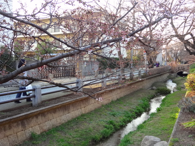 e0016828_10571043.jpg