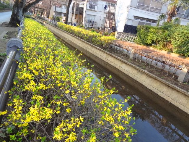 e0016828_1113270.jpg