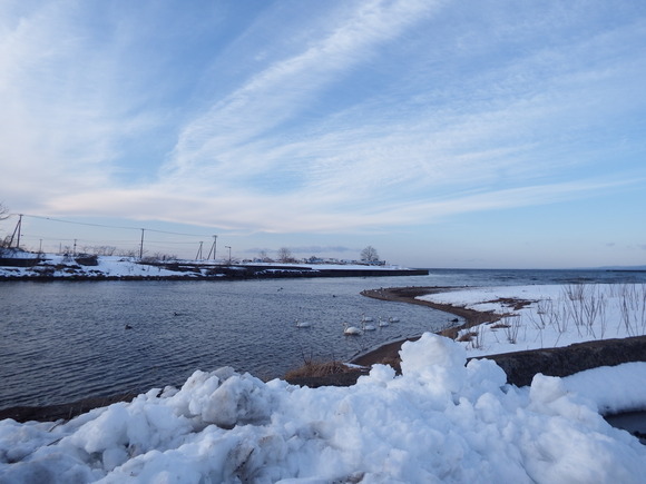 f0118332_16133994.jpg
