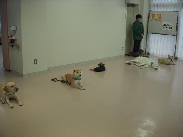 c0114833_15225767.jpg