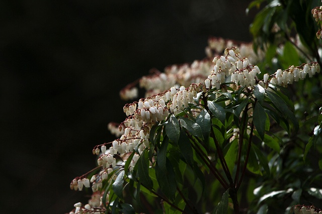 a0242438_19554718.jpg
