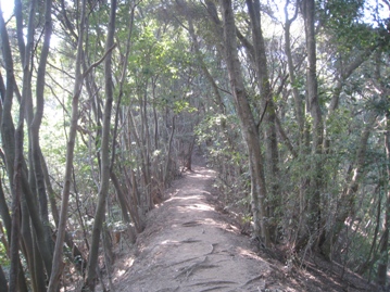 c0077338_22305352.jpg