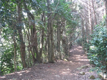 c0077338_22314393.jpg