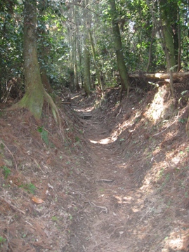 c0077338_2231779.jpg
