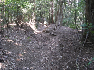c0077338_2232408.jpg