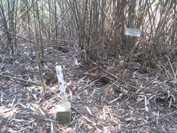 c0077338_2232574.jpg