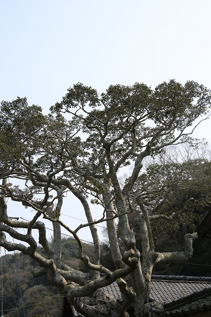 f0288049_13211846.jpg