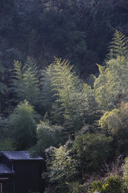 f0288049_13213469.jpg