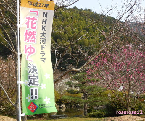 a0249051_1514158.jpg