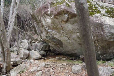 d0007657_19175232.jpg