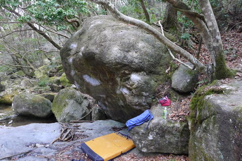 d0007657_19183158.jpg