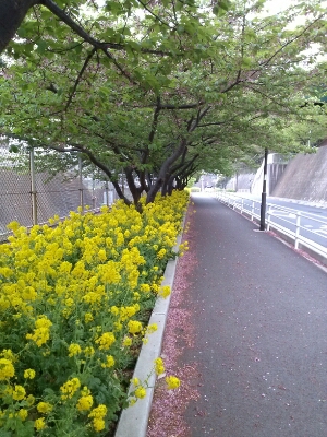 d0271257_2113998.jpg
