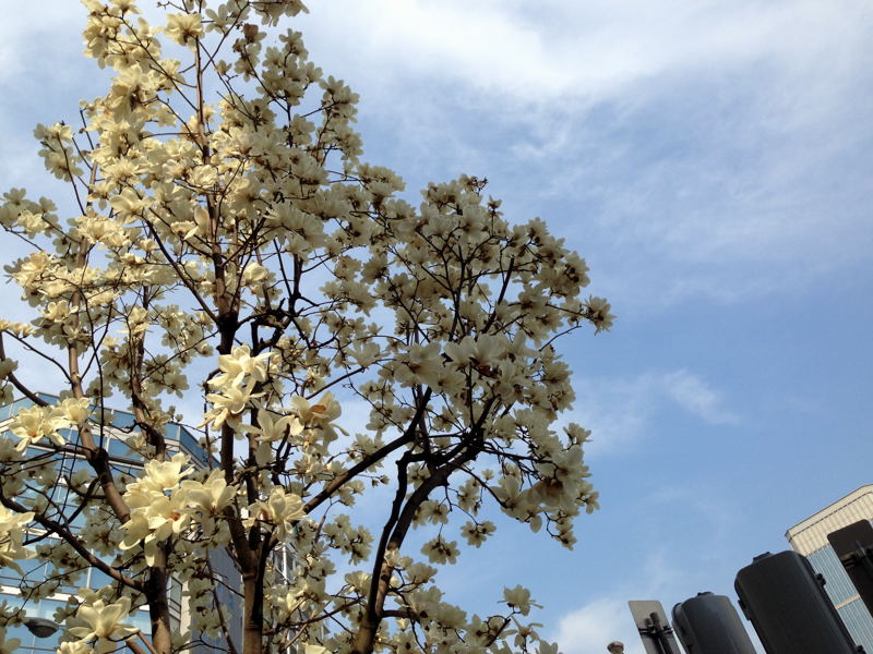 e0053660_201249.jpg