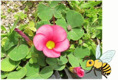 f0003174_14659100.gif