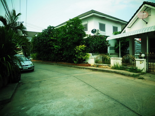 a0002177_1813730.jpg