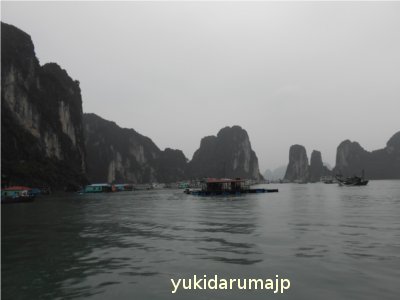 f0055380_22552585.jpg