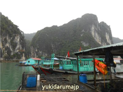 f0055380_22553412.jpg