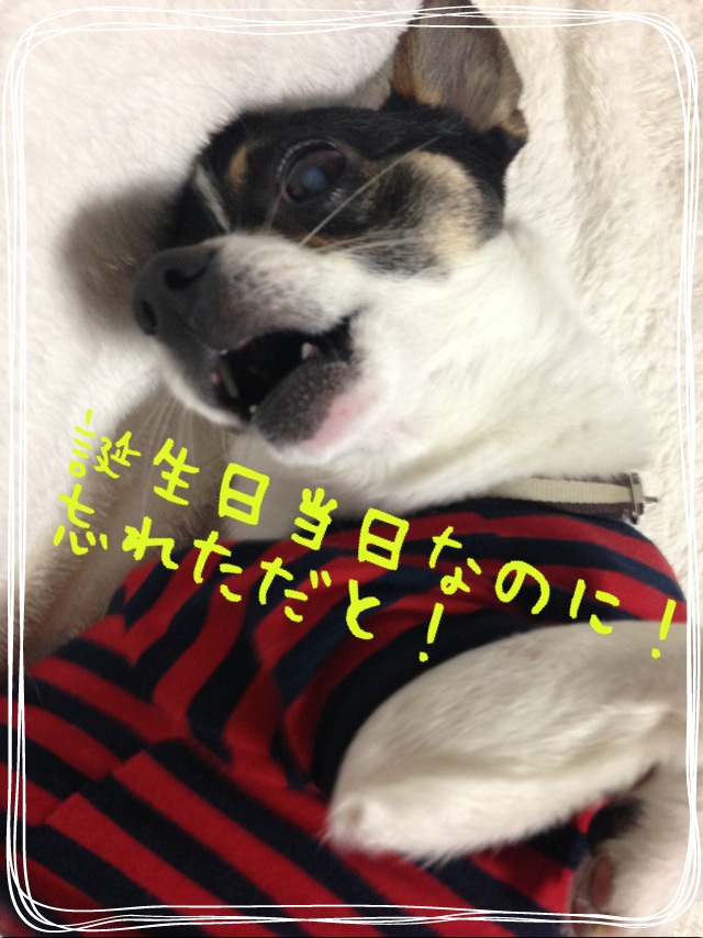 f0248782_1652857.jpg
