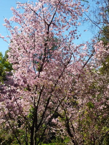 f0121591_6584451.jpg