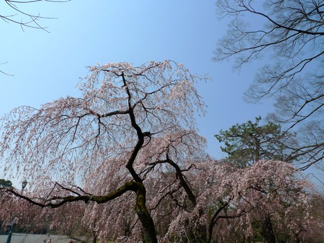a0079292_202309.jpg