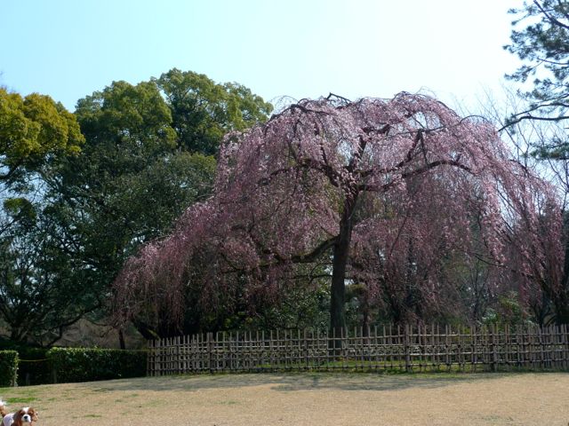a0079292_2134834.jpg