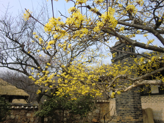 b0044296_22464998.jpg