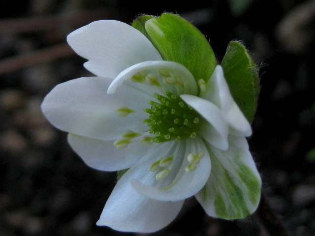 f0236201_17015387.jpg