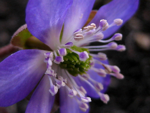 f0236201_17020342.jpg