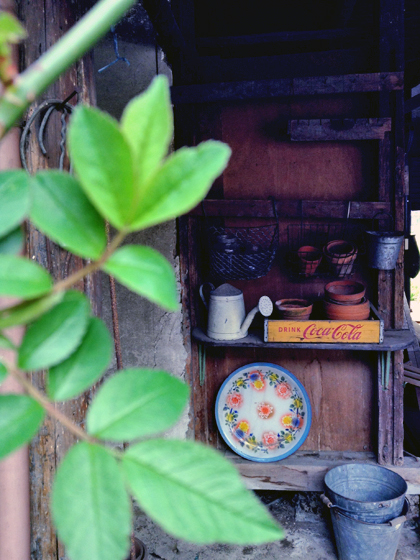 d0077603_10172873.jpg
