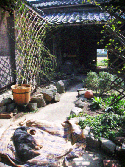 d0077603_10182873.jpg