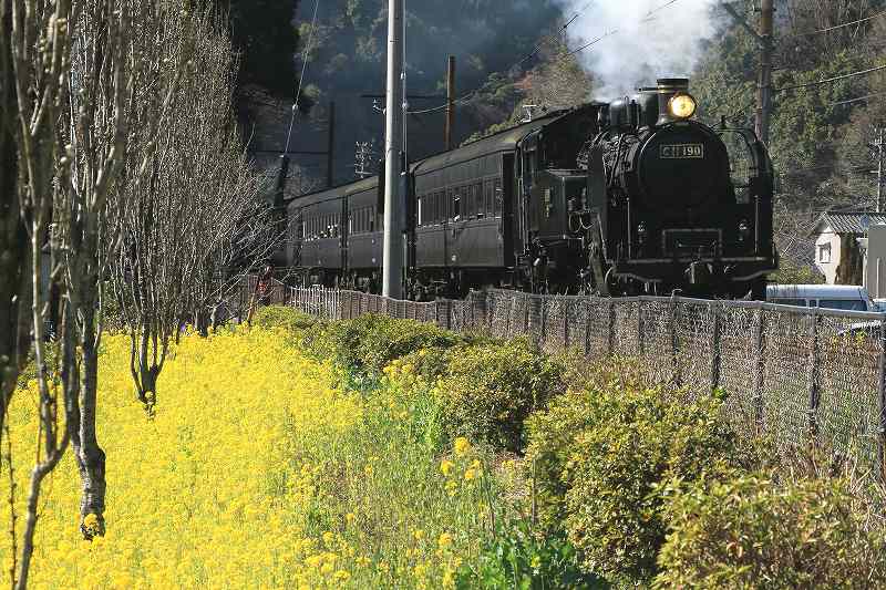 a0188405_7374389.jpg