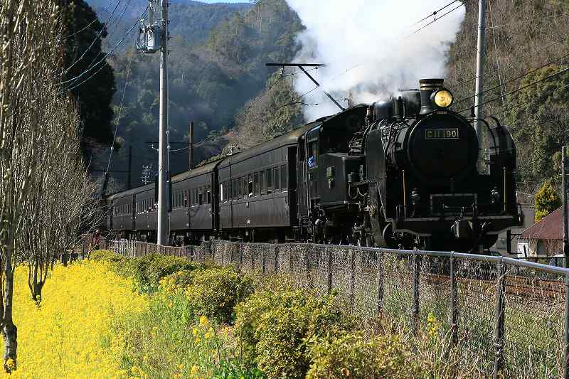 a0188405_739113.jpg