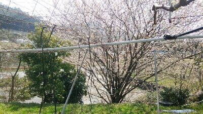 d0116205_2140204.jpg