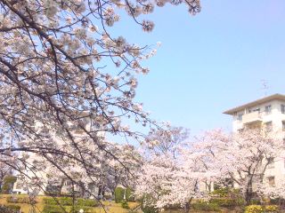 c0111310_22473680.jpg