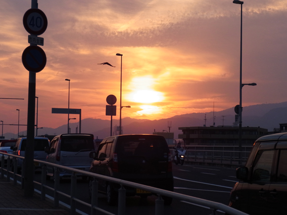 e0083517_3575244.jpg