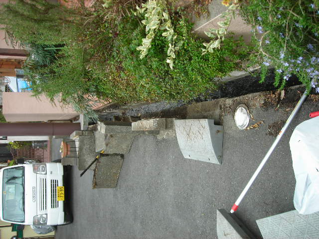 b0096418_311861.jpg