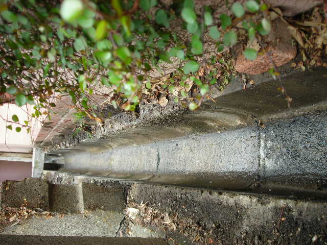 b0096418_35086.jpg