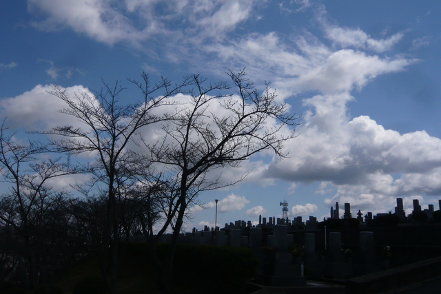 c0076218_15436.jpg
