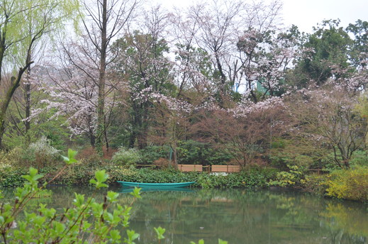 e0135518_171236100.jpg
