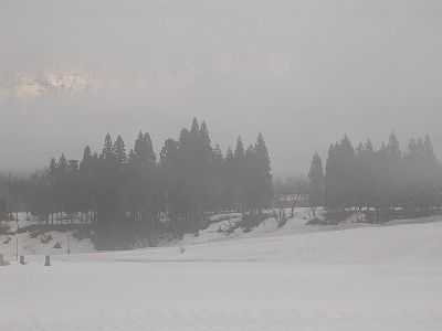 d0015124_18211048.jpg